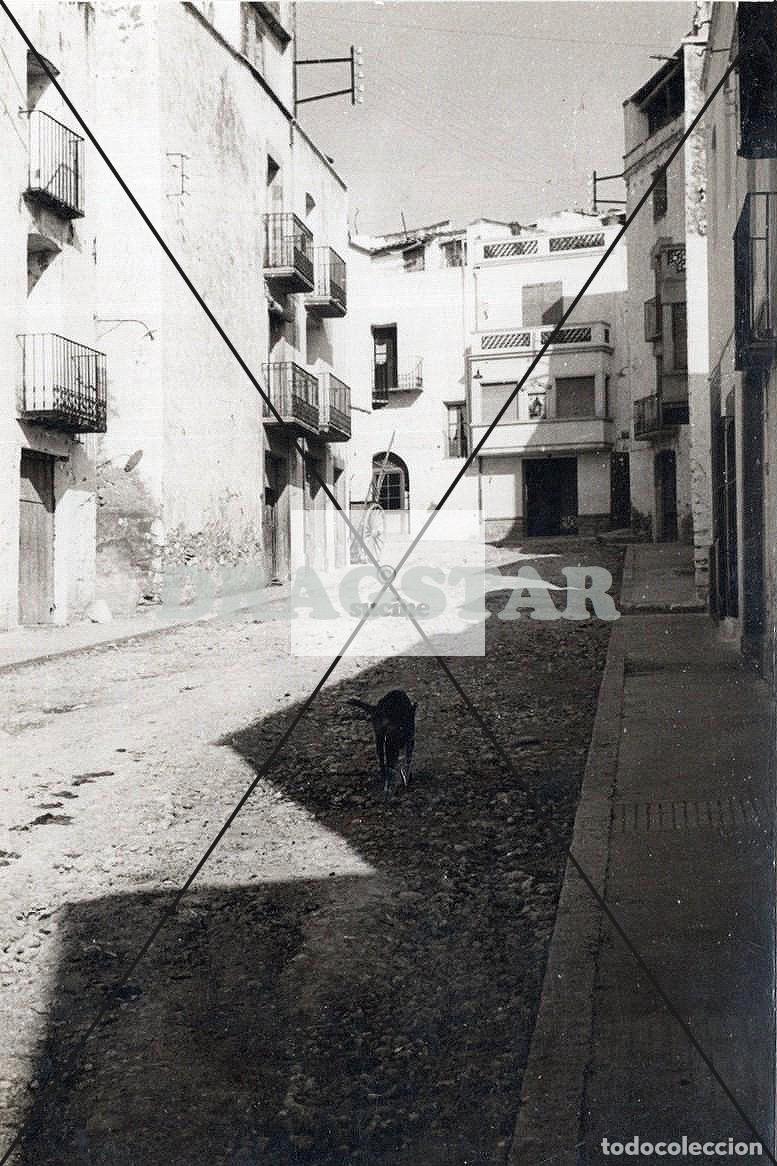 Nuevo: TRAIGUERA (CASTELL&Oacute;N) EN EL RECUERDO.