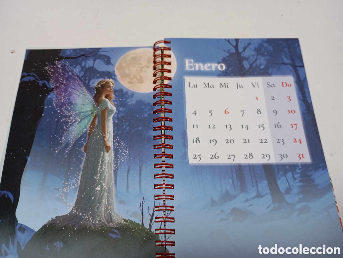 Nuevo: Agenda hadas 2027 con ilustraciones - Foto 4