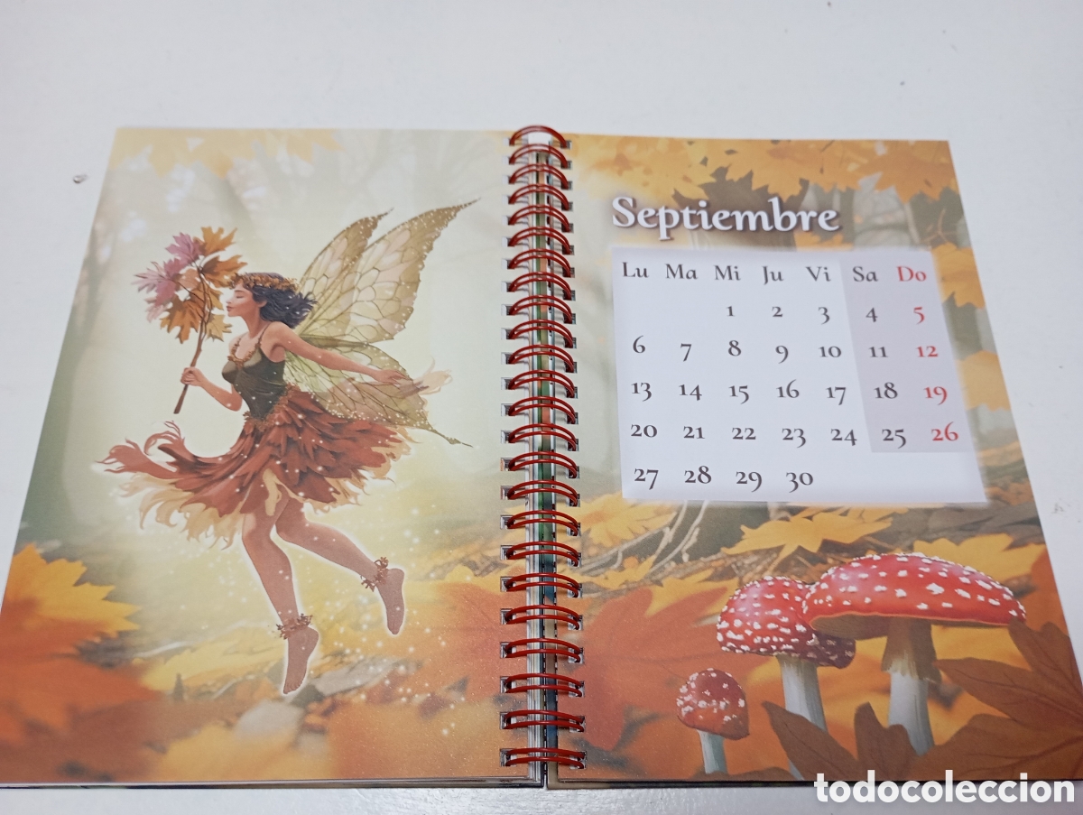 Nuevo: Agenda hadas 2027 con ilustraciones - Foto 6