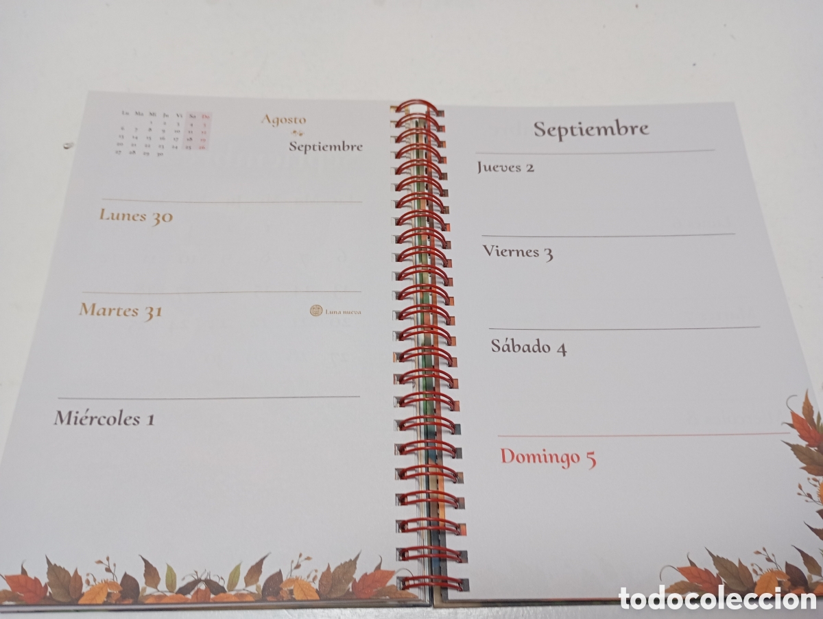 Nuevo: Agenda hadas 2027 con ilustraciones - Foto 7