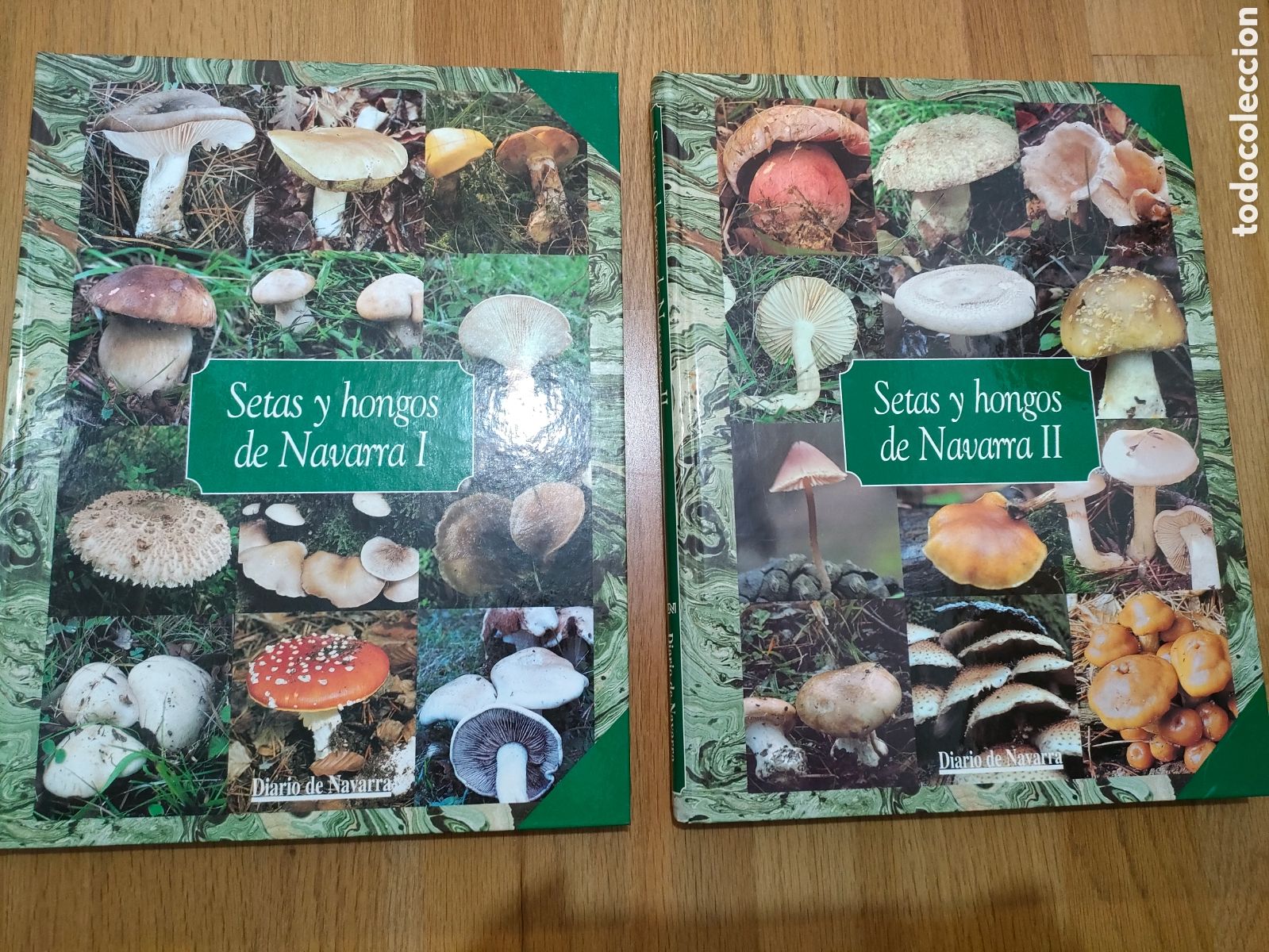 Nuovo: Setas y hongos de Navarra tomos I y II