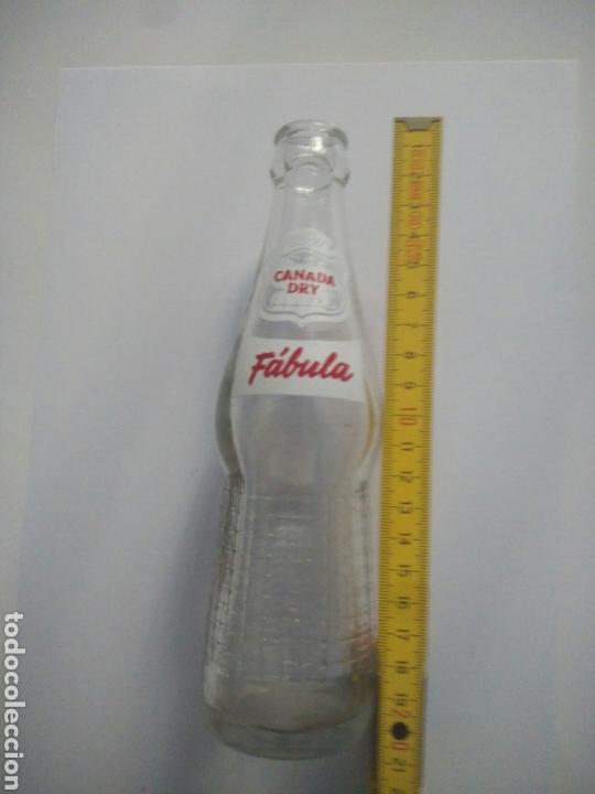 Otras botellas y bebidas antiguas de colecci&oacute;n: Botella Canada Dry. F&aacute;bula. - Foto 1