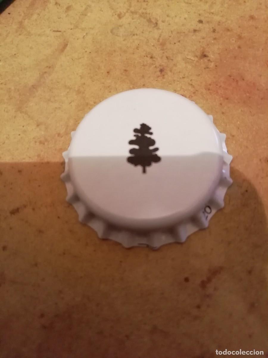 Otras Botellas y Bebidas Antiguas de colecci&oacute;n: CHAPA AGUAS DE TEROR SIN GAS.