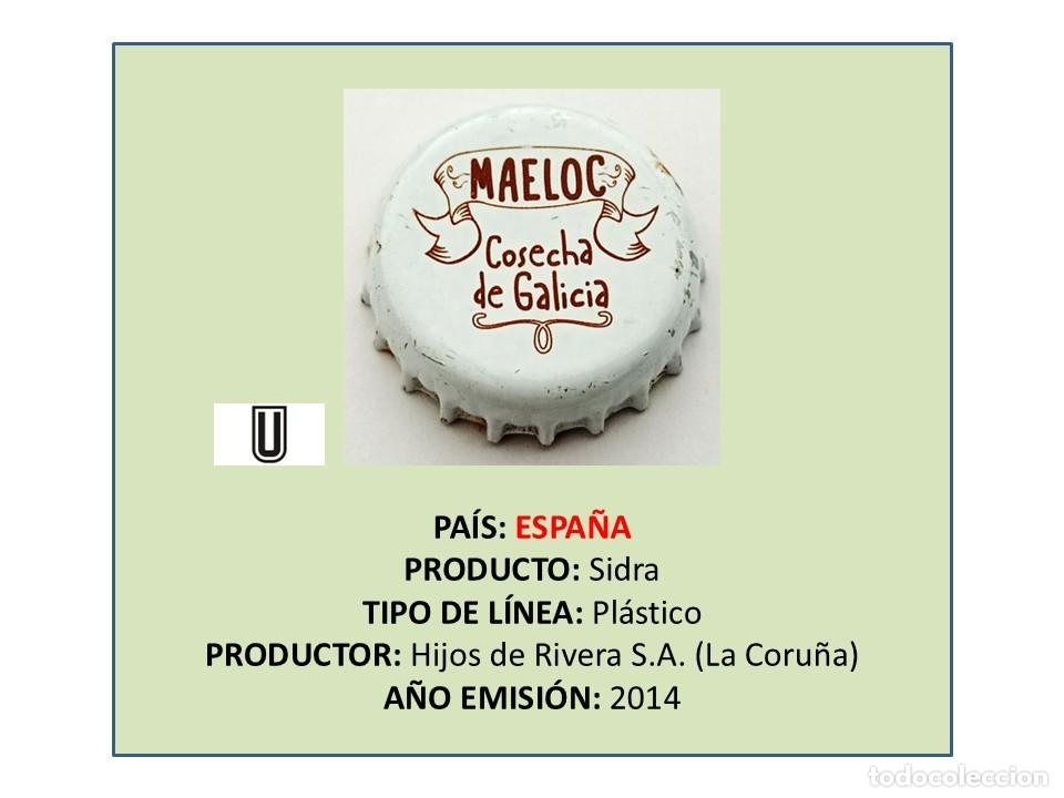 Otras Botellas y Bebidas Antiguas de colecci&oacute;n: TAPON CORONA CAPSULA CHAPA SIDRA MAELOC (ESPA&Ntilde;A)