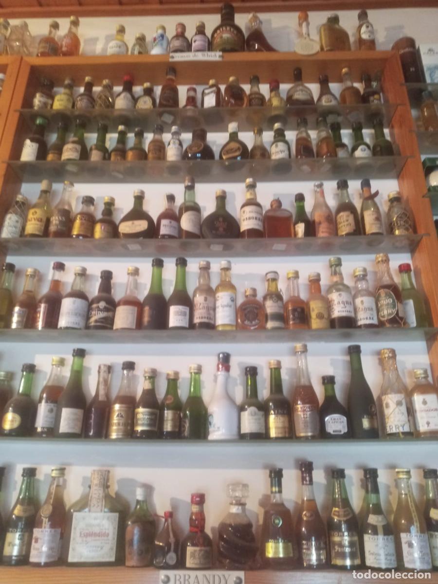 Otras Botellas y Bebidas Antiguas de colecci&oacute;n: Colecci&oacute;n botellitas en miniatura