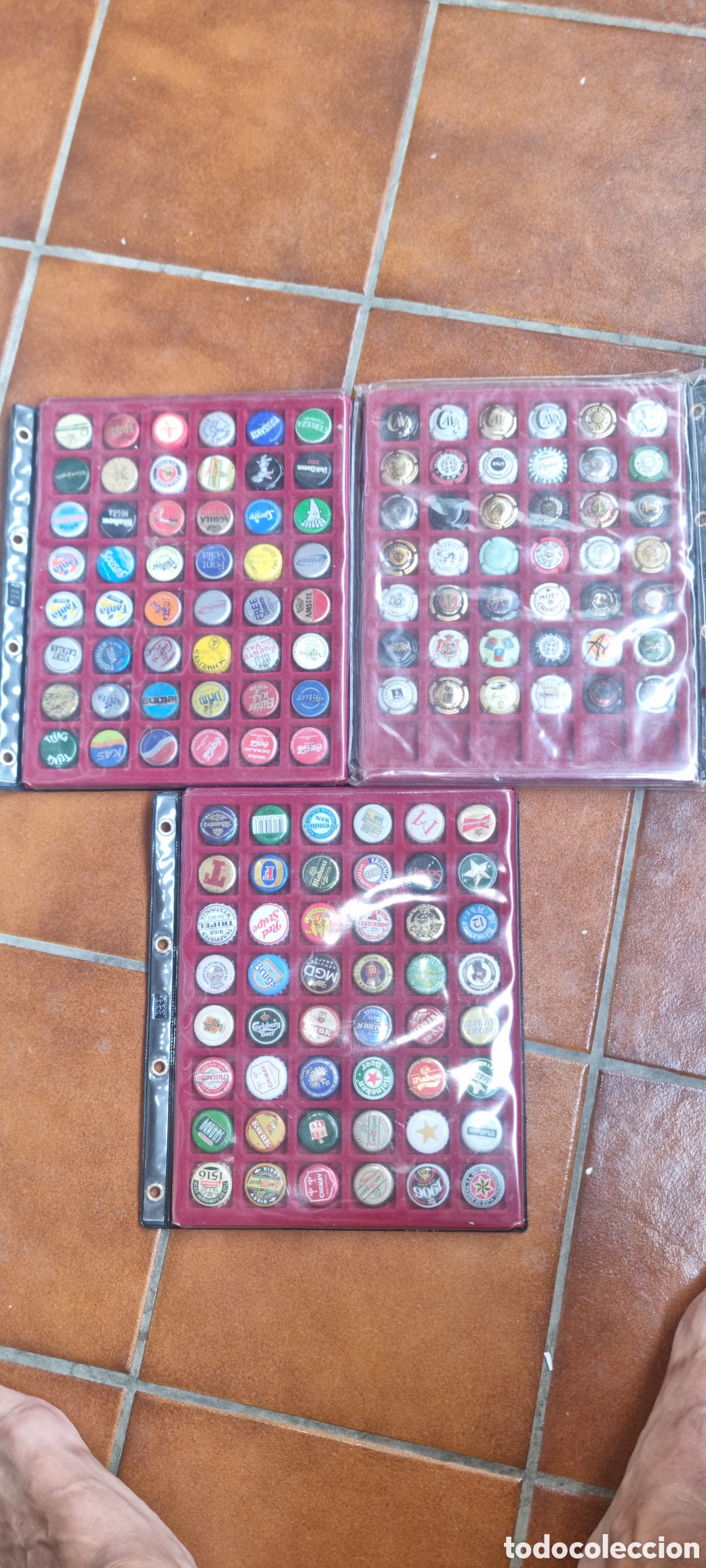 Otras botellas y bebidas antiguas de colecci&oacute;n: Coleccion de chapas de refresco y cava