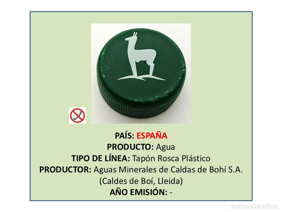 Otras botellas y bebidas antiguas de colecci&oacute;n: TAPON CORONA CAPSULA CHAPA ROSCA PL&Aacute;STICO AGUA CALDES DE BOH&Iacute; (ESPA&Ntilde;A)
