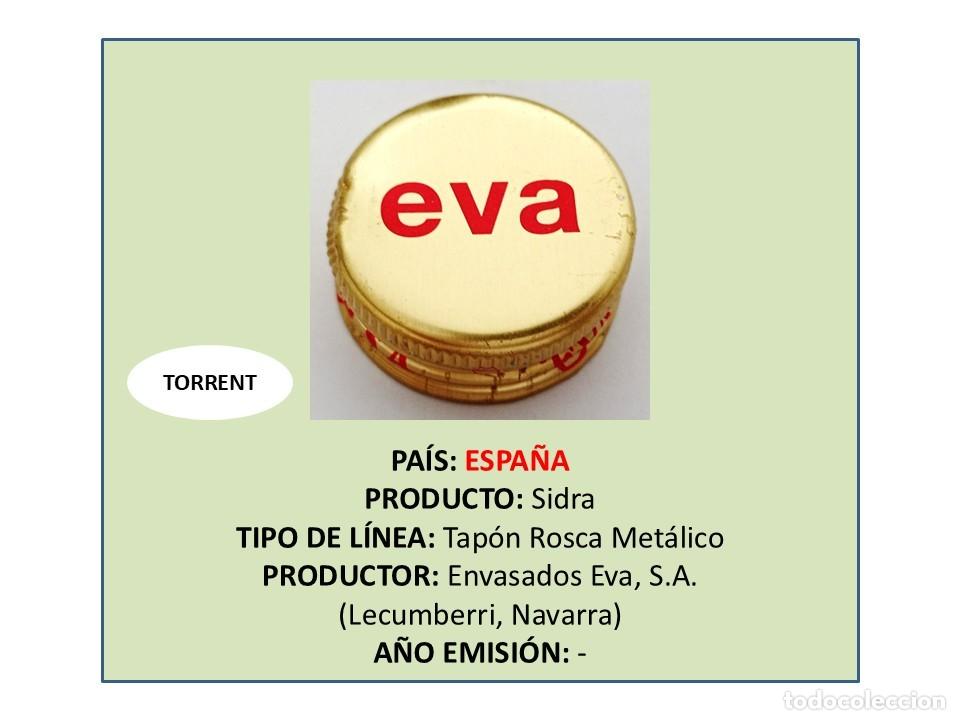 Otras botellas y bebidas antiguas de colecci&oacute;n: TAPON CORONA CAPSULA CHAPA ROSCA MET&Aacute;LICO SIDRA EVA (ESPA&Ntilde;A)