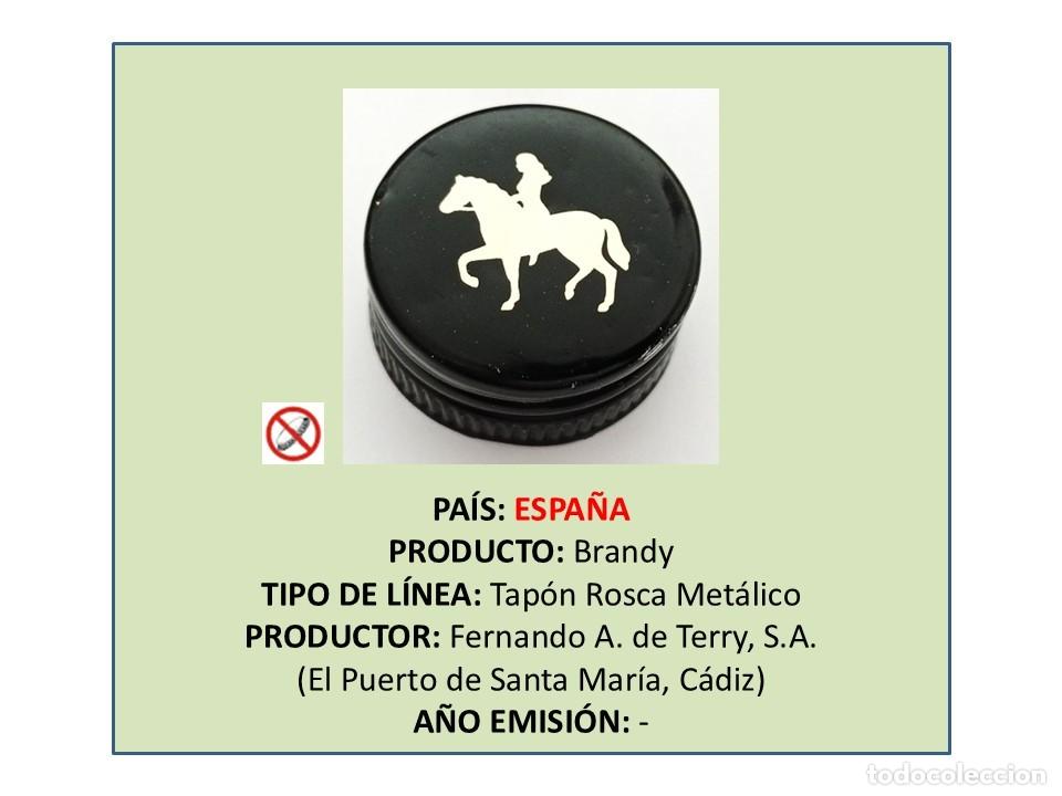 Otras botellas y bebidas antiguas de colecci&oacute;n: TAPON CORONA CAPSULA CHAPA ROSCA MET&Aacute;LICO BRANDY TERRY (ESPA&Ntilde;A)
