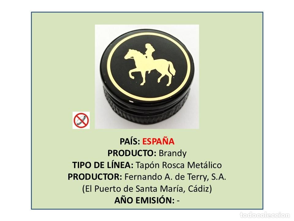 Otras botellas y bebidas antiguas de colecci&oacute;n: TAPON CORONA CAPSULA CHAPA ROSCA MET&Aacute;LICO BRANDY TERRY (ESPA&Ntilde;A)