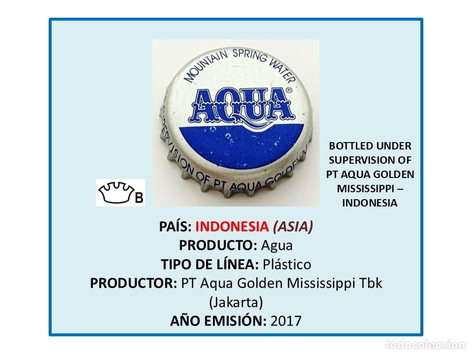 Otras botellas y bebidas antiguas de colecci&oacute;n: TAPON CORONA CAPSULA CHAPA AGUA MOUNTAIN SPRING (INDONESIA)