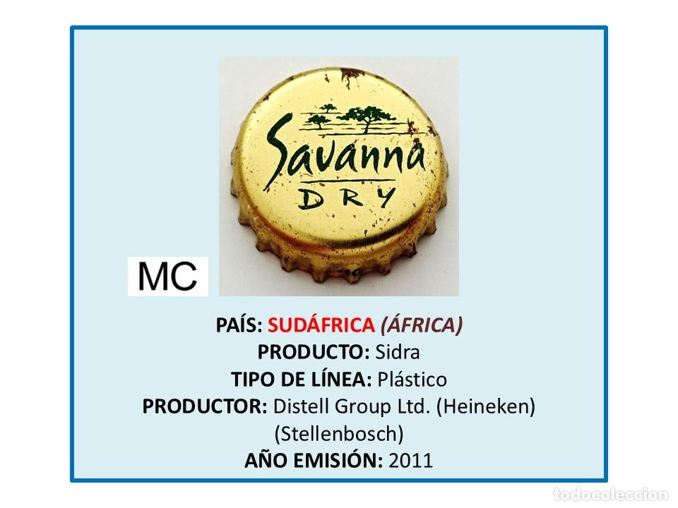 Otras botellas y bebidas antiguas de colecci&oacute;n: TAPON CORONA CAPSULA CHAPA SIDRA SAVANNA DRY (SUD&Aacute;FRICA)