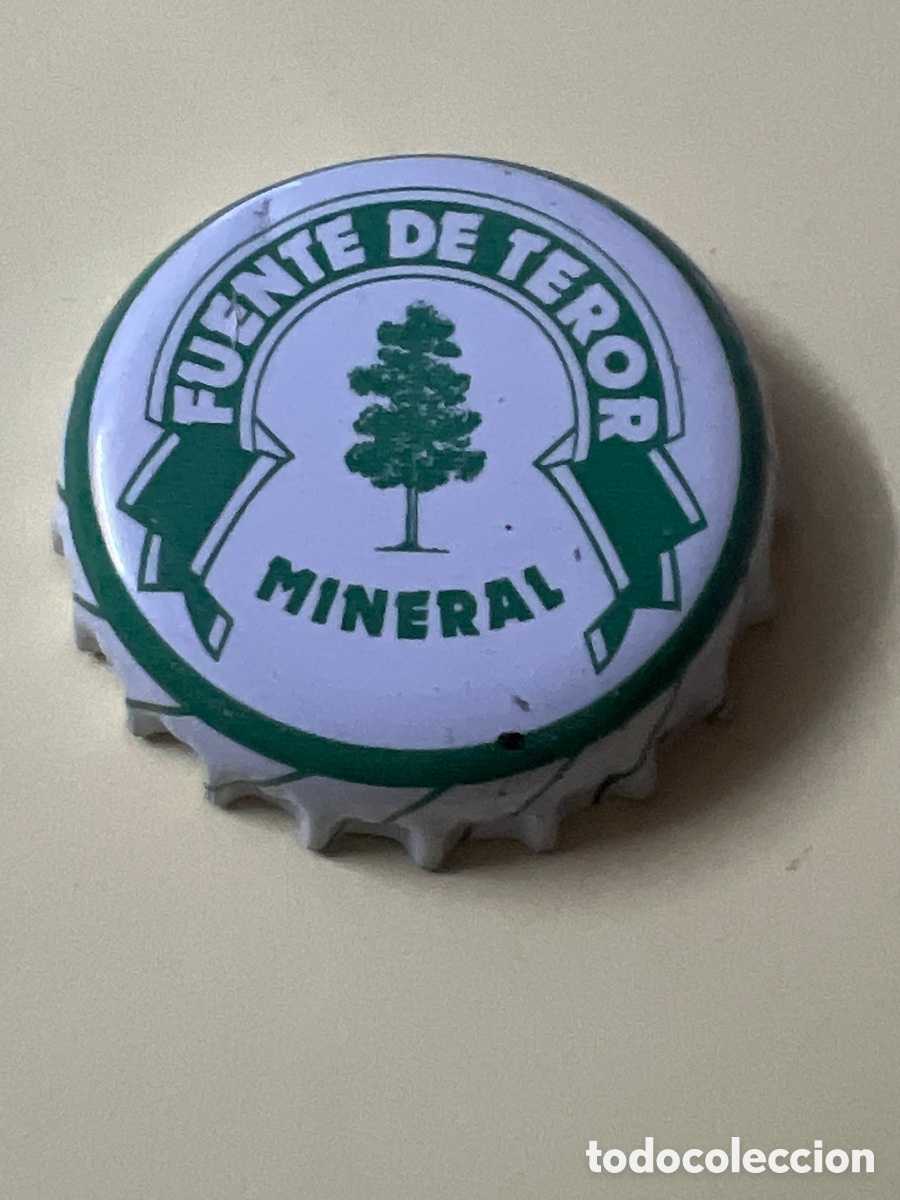 Otras botellas y bebidas antiguas de colecci&oacute;n: T71. CHAPA AGUA FUENTE DE TEROR,