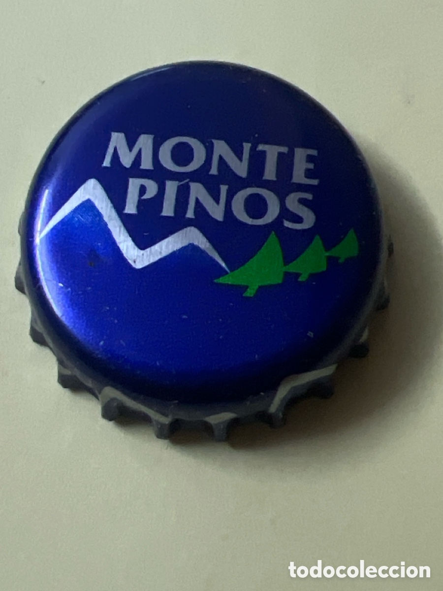 Otras botellas y bebidas antiguas de colecci&oacute;n: T72. CHAPA, TAP&Oacute;N DE CORONA AGUA MONTE PINOS