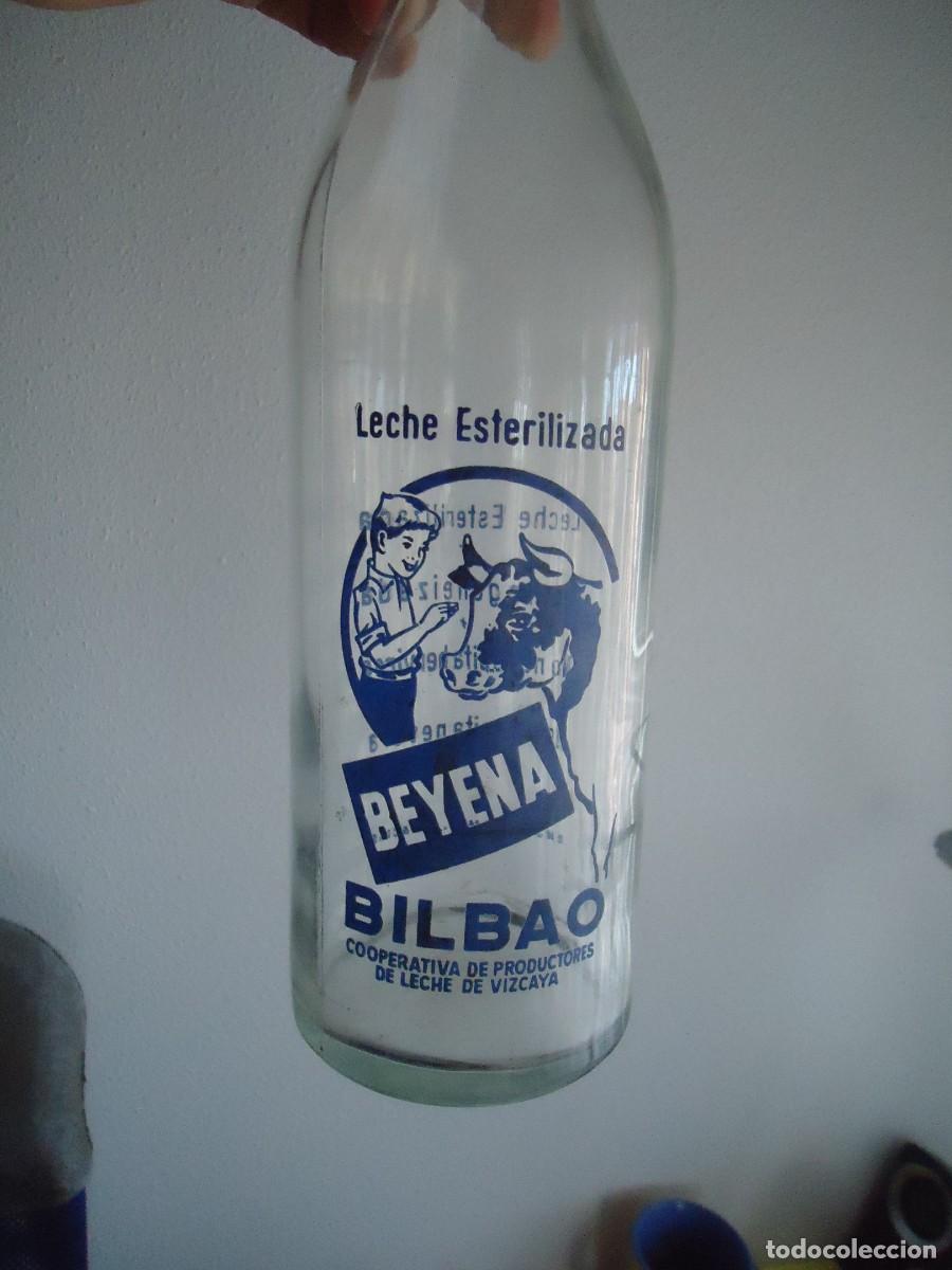 Otras botellas y bebidas antiguas de colecci&oacute;n: botella leche vaca beyena lechera vizcaina bilbao vizcaya lactea pais vasco euskadi ganaderia bovina