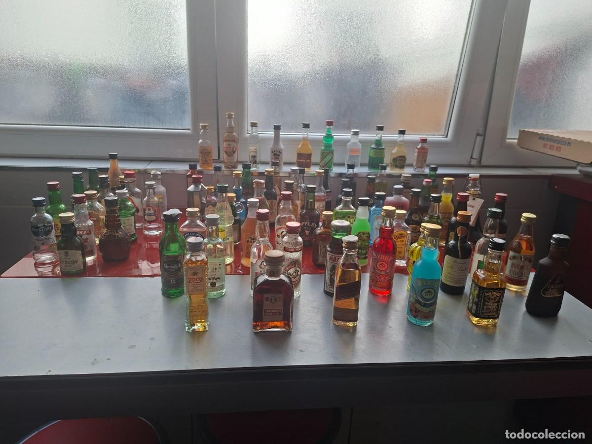 Otras botellas y bebidas antiguas de colecci&oacute;n: Mini botellas 66 unid