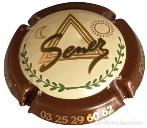 Otras botellas y bebidas antiguas de colecci&oacute;n: Francia Capsule Plaque Muselet Capsule Champagne Cristian Senez Fontette RP934 tap&oacute;n