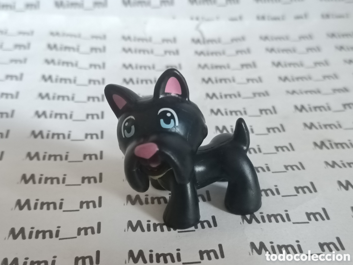 Otras mu&ntilde;ecas de Famosa cl&aacute;sicas y de colecci&oacute;n: Pinypon perro Tot&oacute; mago de Oz mascotas pinipon pin y pon mu&ntilde;ecas Famosa