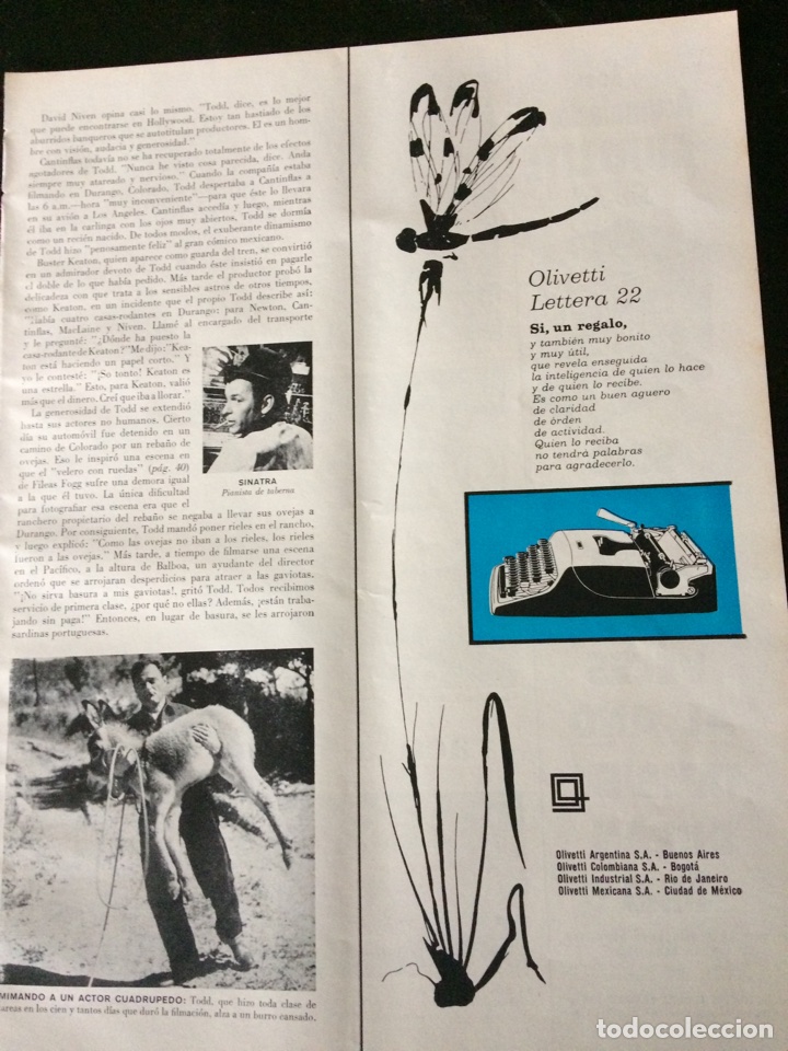 Paper Collecting Others: Publicidad m&aacute;quina de escribir Olivetti de 1955