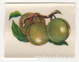 Otros Art&iacute;culos de Coleccionismo en Papel: (ALB-TC-8) ANTIGUA CALCAMONIA PARA BALDOSA DE COCINA