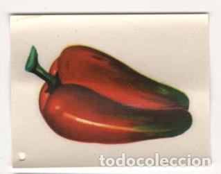 Otros Art&iacute;culos de Coleccionismo en Papel: (ALB-TC-8) ANTIGUA CALCAMONIA PARA BALDOSA DE COCINA
