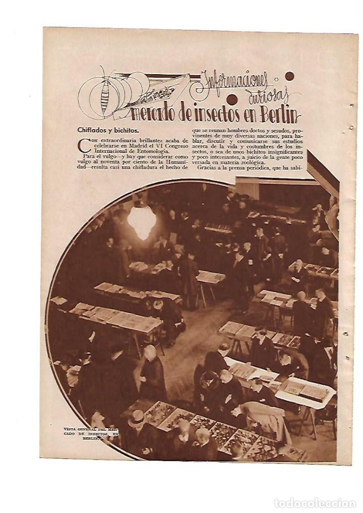 Outros artigos de papel: A&Ntilde;O 1935 RECORTE PRENSA CURIOSIDADES MERCADO DE INSECTOS EN BERLIN ALEMANIA