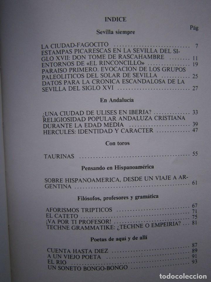 Otros art&iacute;culos de coleccionismo en papel: LOS PAPELES DEL RINCONCILLO 4 Arrayan 1987 EC - Foto 11