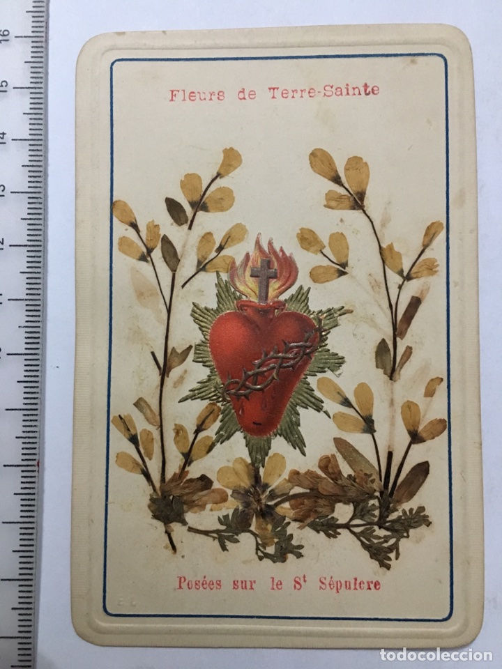 Otros Art&iacute;culos de Coleccionismo en Papel: ESTAMPA RELIGIOSA. FLEURE DE TERRE-SAINTE. H. 1920?