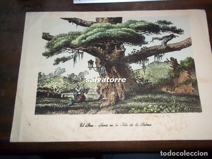 Otros Art&iacute;culos de Coleccionismo en Papel: EL PINO SANTO. ISLA DE SAN MIGUEL DE LA PALMA.CANARIAS. COLOREADO.GRABADO LITOGRAFICO.
