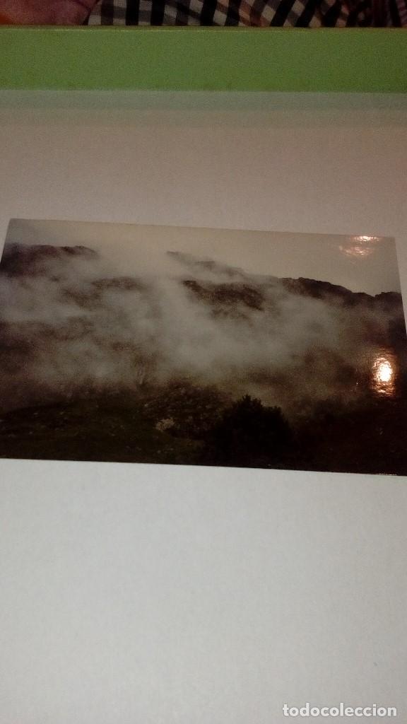 Outros artigos de papel: 9c-cd05 FOTO NIEBLA