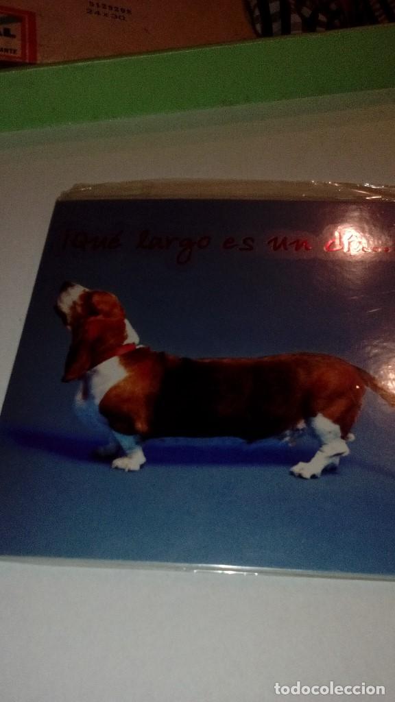 Collectionnisme Papier divers: cd-6489 FELICITACION NUEVO PRECINTADO QUE LARGO ES UN DIA