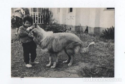 Altri oggetti di carta: (ALB-TC-23) RECUERDO DONACION BAUTISMO NI&Ntilde;OS INFIELES 1966H. FOURNIER