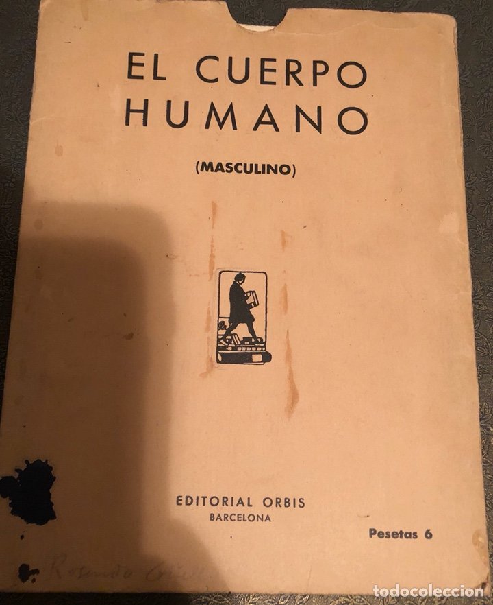 el cuerpo humano en cuadros desmontables - año - Compra venta en  todocoleccion