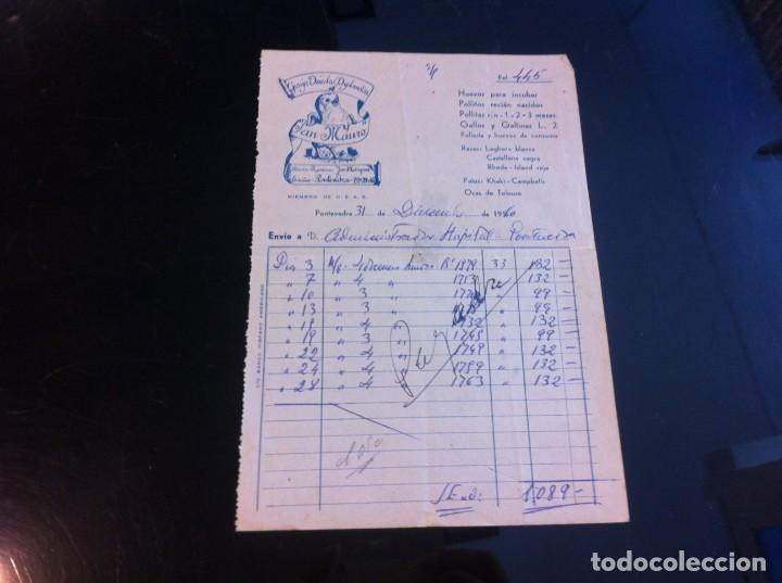 Paper Collecting Others: FACTURA (GRANJA AV&Iacute;COLA DIPLOMADA SAN MAURO)  PONTEVEDRA, 1960