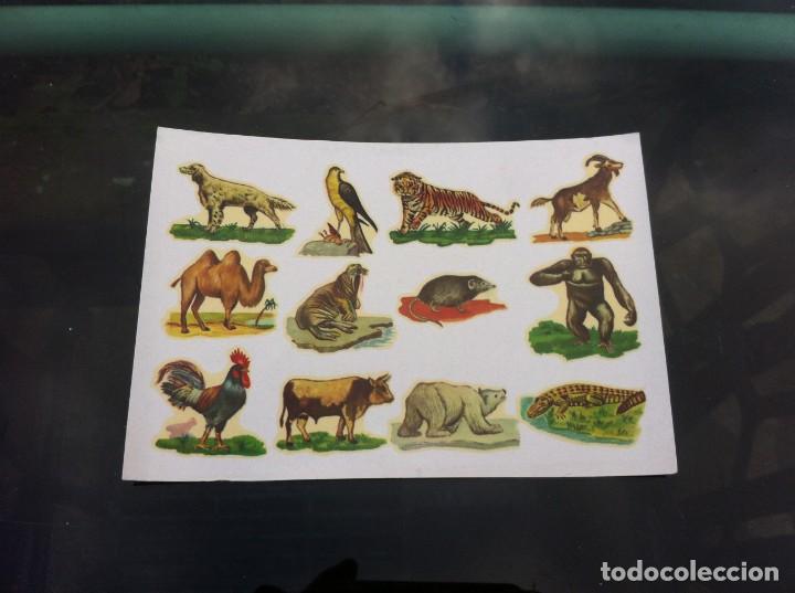 Paper Collecting Others: CALCOMANIAS ORTEGA (SERIE P 56)  MEDIDAS: 16 x 11cm.   BUENA CONSERVACI&Oacute;N