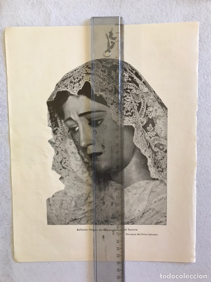 Otros Art&iacute;culos de Coleccionismo en Papel: SEMANA SANTA SEVILLA. VIRGEN DEL SOCORRO. HERMANDAD DEL AMOR. HOJA REVISTA A&Ntilde;OS 50.