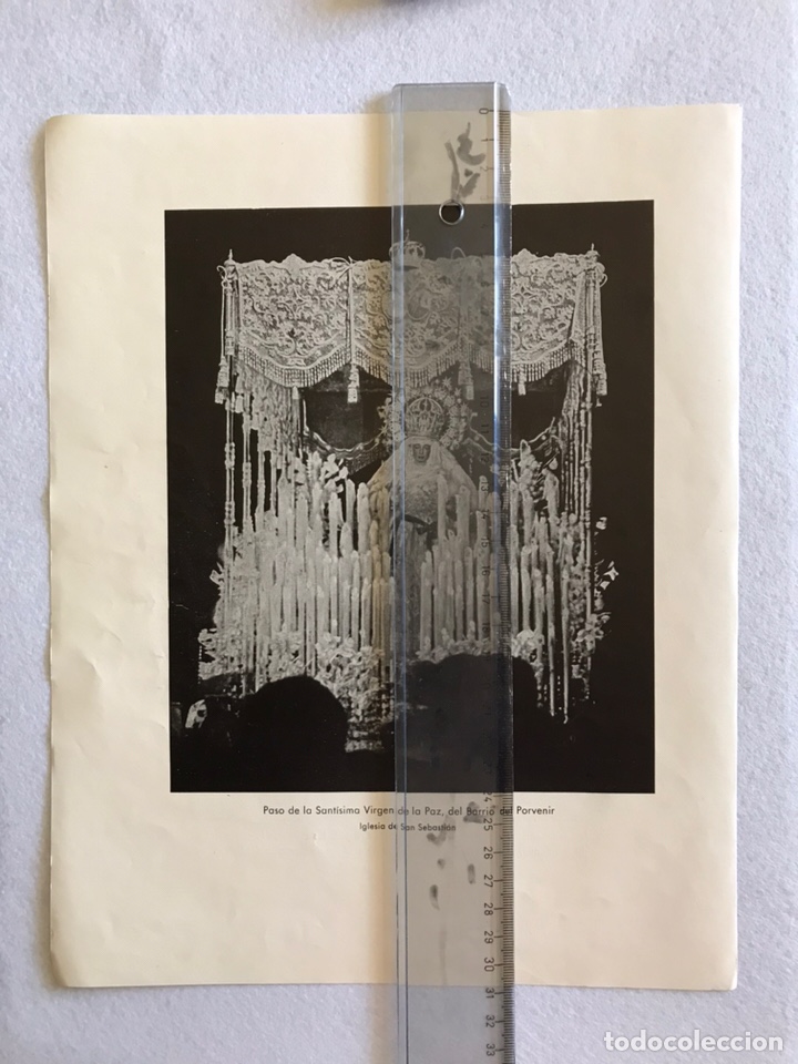 Otros Art&iacute;culos de Coleccionismo en Papel: SEMANA SANTA SEVILLA. HERMANDADES PAZ Y SAN ROQUE. HOJA REVISTA A&Ntilde;OS 50.