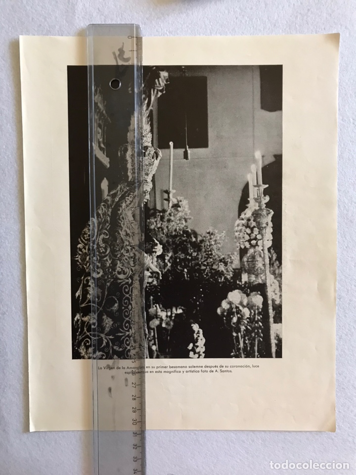 Otros Art&iacute;culos de Coleccionismo en Papel: SEMANA SANTA SEVILLA. VIRGEN DE LA AMARGURA PRIMER BESAMANO DESPU&Eacute;S CORONACI&Oacute;N. HOJA REVISTA A&Ntilde;OS 50