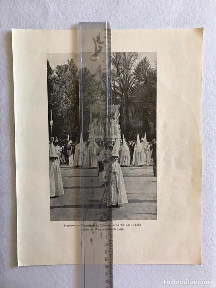 Otros Art&iacute;culos de Coleccionismo en Papel: SEMANA SANTA SEVILLA. PALIO HERMANDAD DE LA PAZ. HOJA REVISTA A&Ntilde;OS 50.