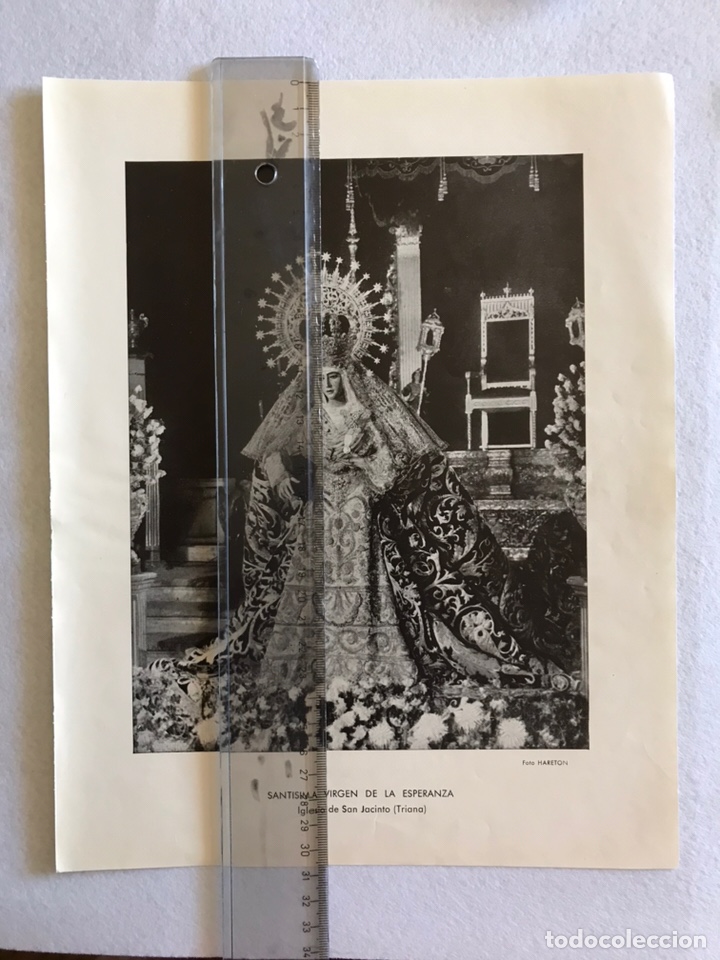 Otros Art&iacute;culos de Coleccionismo en Papel: SEMANA SANTA SEVILLA. VIRGEN ESPERANZA TRIANA Y VIRGEN ANGUSTIAS GITANOS. HOJA REVISTA A&Ntilde;OS 50