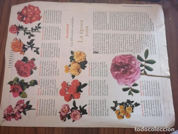 Sammelleidenschaft Andere Papierartikel: TIPOS DE ROSAS. TENDENCIAS. DOS P&Aacute;GINAS. SACADO DE REVISTA LA REVISTA DE EL MUNDO. RARO