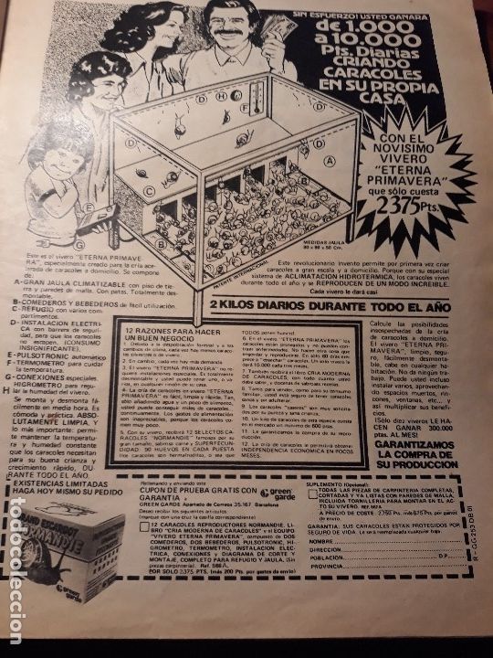 Outros artigos de papel: PUBLICIDAD DE LA CRIA DE CARACOLES - VIVERO ETERNA PRIMAVERA - A&Ntilde;O 1982 -
