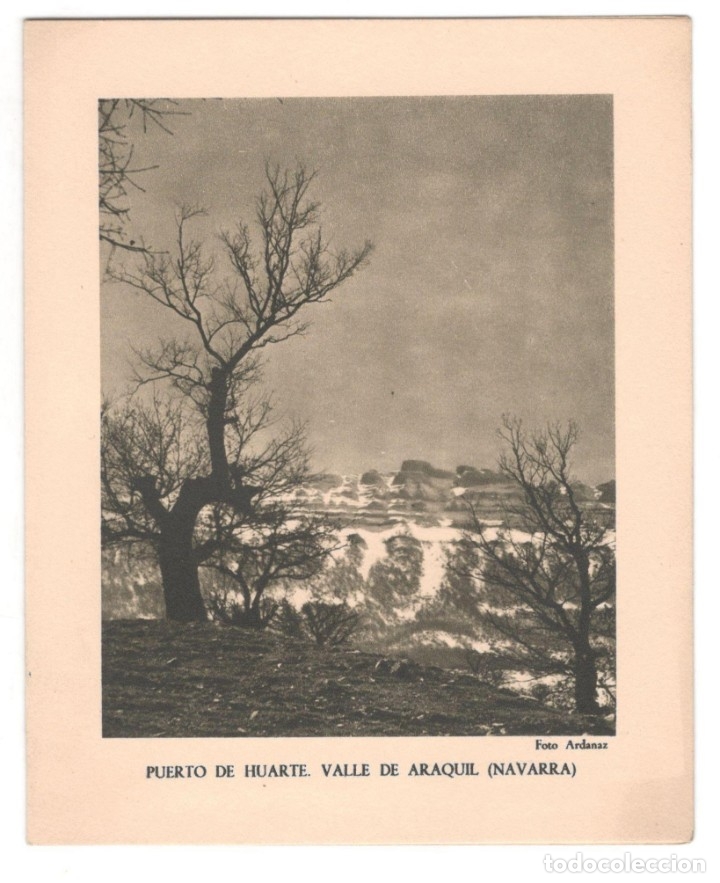 Outros artigos de papel: PUERTO DE HUARTE. VALLE DE ARAQUIL (Navarra) Foto Ardanaz. D&iacute;ptico para felicitaci&oacute;n
