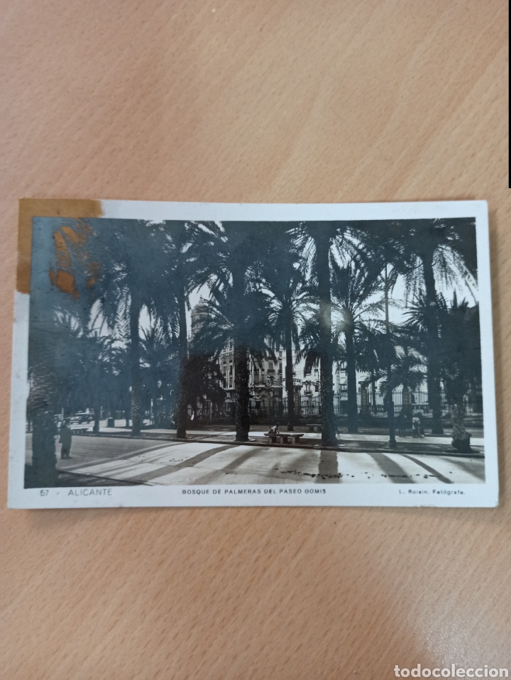 Paper Collecting Others: ANTIGUA POSTAL BOSQUE DE PALMERAS PASEO GOMIS L. ROISIN ALICANTE 1933