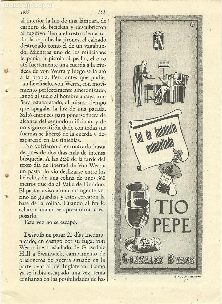 Otros Art&iacute;culos de Coleccionismo en Papel: Recorte Publicitario TIO PEPE Jerez vino - Publicidad revista prensa peri&oacute;dico antiguo vintage