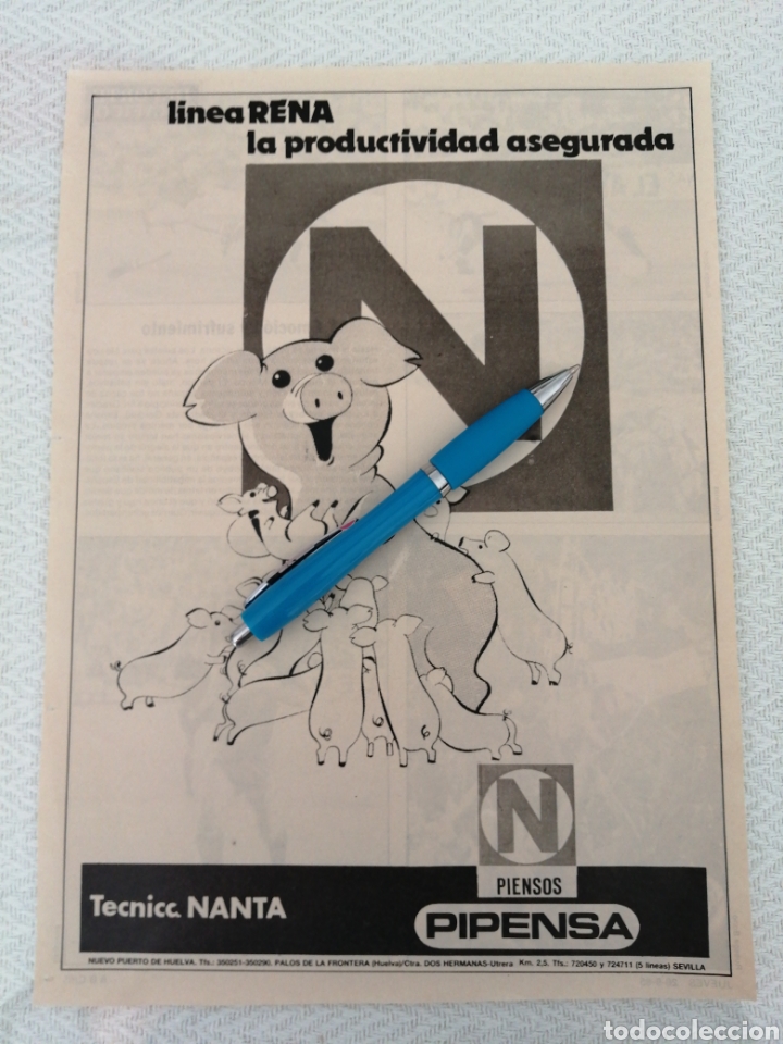 Outros artigos de papel: RECORTE ANTIGUO PUBLICIDAD PIENSOS PIPENSA. TECNI NANTA