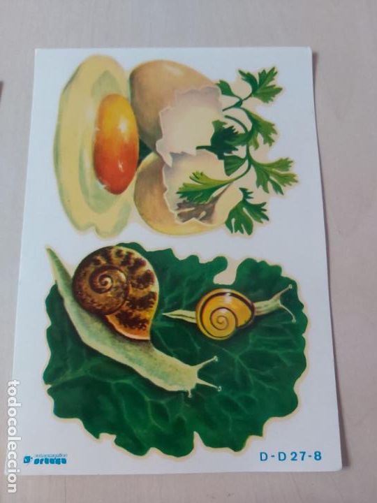 Otros Art&iacute;culos de Coleccionismo en Papel: CALCOMANIAS ORTEGA - SERIE D-D27-8