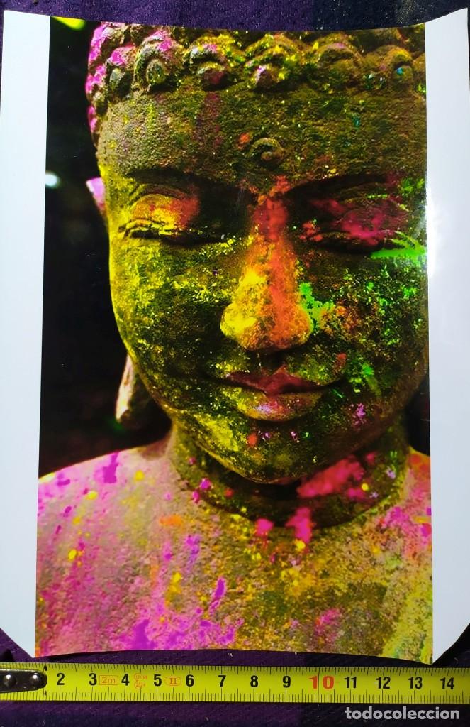 Otros Art&iacute;culos de Coleccionismo en Papel: FOTOGRAFIA ESCULTURA BUDA OJOS CERRADOS
