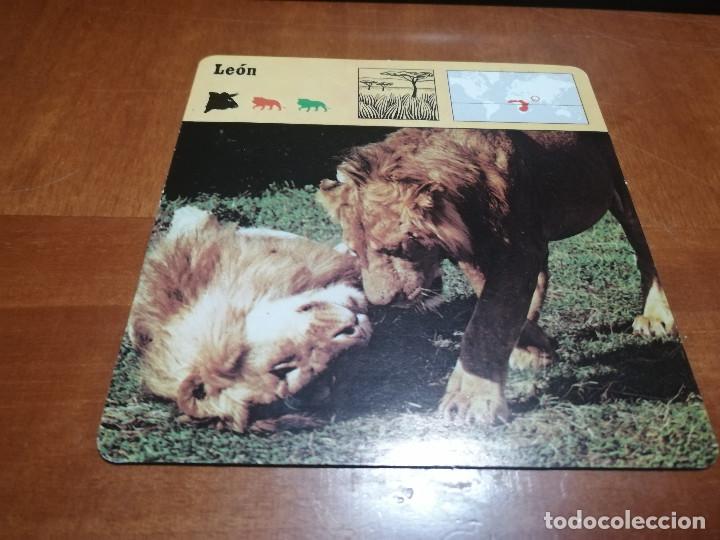 Sammelleidenschaft Andere Papierartikel: LEON. FICHA ANIMALES. RENCONTRE. EDICIONES PLANETA. DETR&Aacute;S TEXTO SOBRE &Eacute;L. BUEN ESTADO