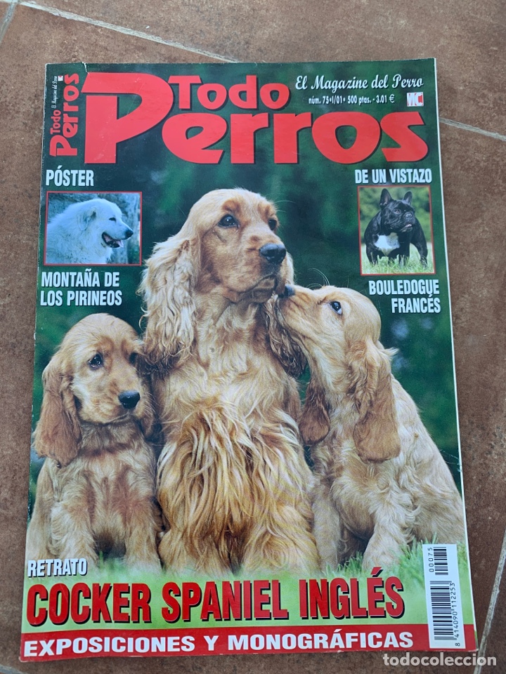 Todo Perros N 75